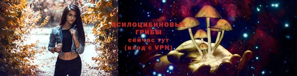 шишки Баксан