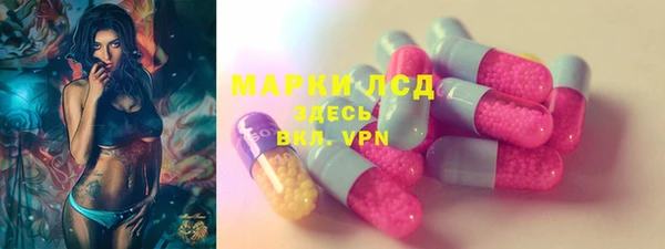 шишки Баксан