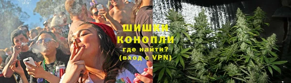 шишки Баксан