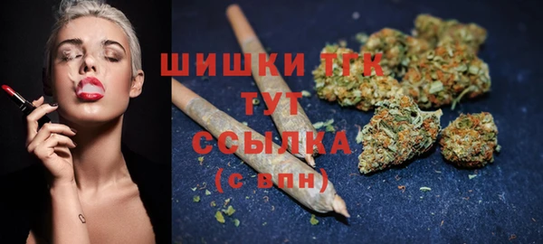 шишки Баксан