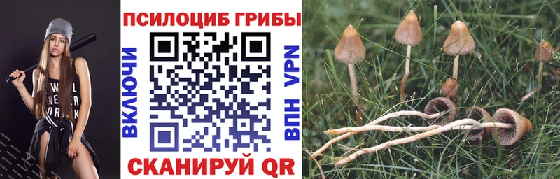 Галлюциногенные грибы MAGIC MUSHROOMS Усть-Джегута