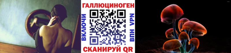 shop какой сайт  где найти   Усть-Джегута  Псилоцибиновые грибы Magic Shrooms 